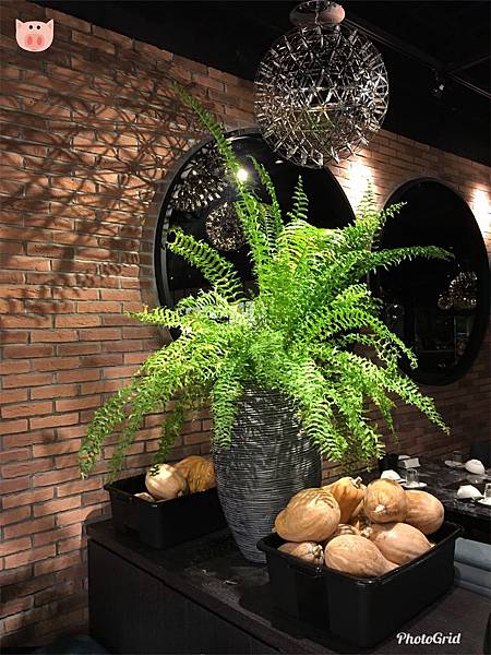 2018.09.02-05.jpg 2018.09.02-05.jpg