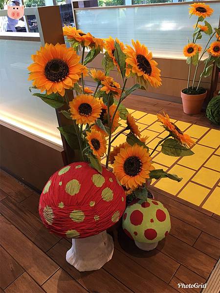 2018.09.30-15.jpg 2018.09.30-15.jpg