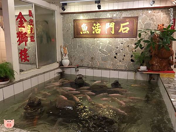 2019.06.14-03.jpg 2019.06.14-03.jpg