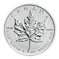 coin_leaf