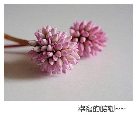 427620_367763896577018_223153032_n_副本 427620_367763896577018_223153032_n_副本