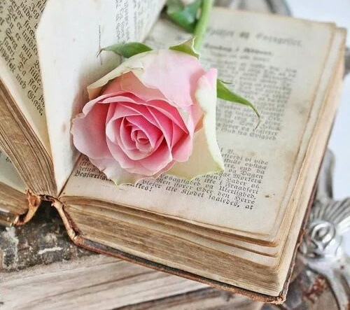 book-letters-old-rose-Favim.com-2533081