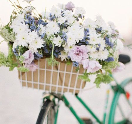 basket-bike-flowers-lilac-Favim.com-1095803