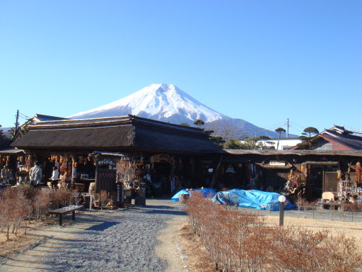 DSC09240.jpg