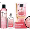 The Body Shop_日本櫻花全產品.jpg