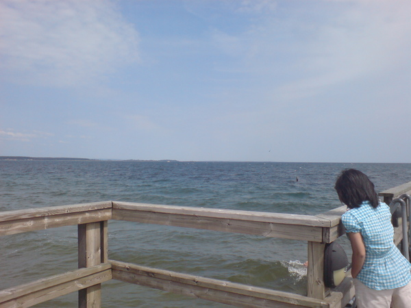 DSC05384.JPG