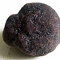 Truffe01.jpg