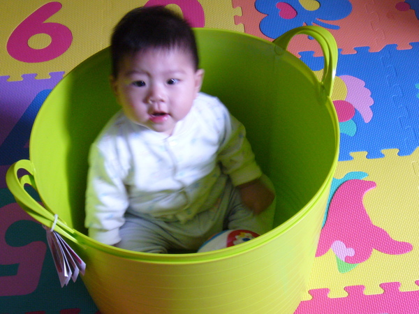 P1010684.jpg P1010684.jpg