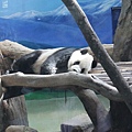 taipei zoo 023_調整大小.jpg