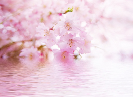 1520652-bigthumbnail.jpg
