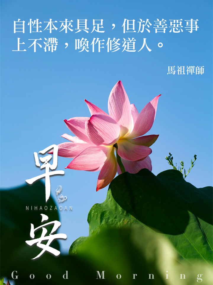 早安圖｜51.馬祖禪師｜自性本來具足，但於善惡事上不滯，喚作修道人。.PNG