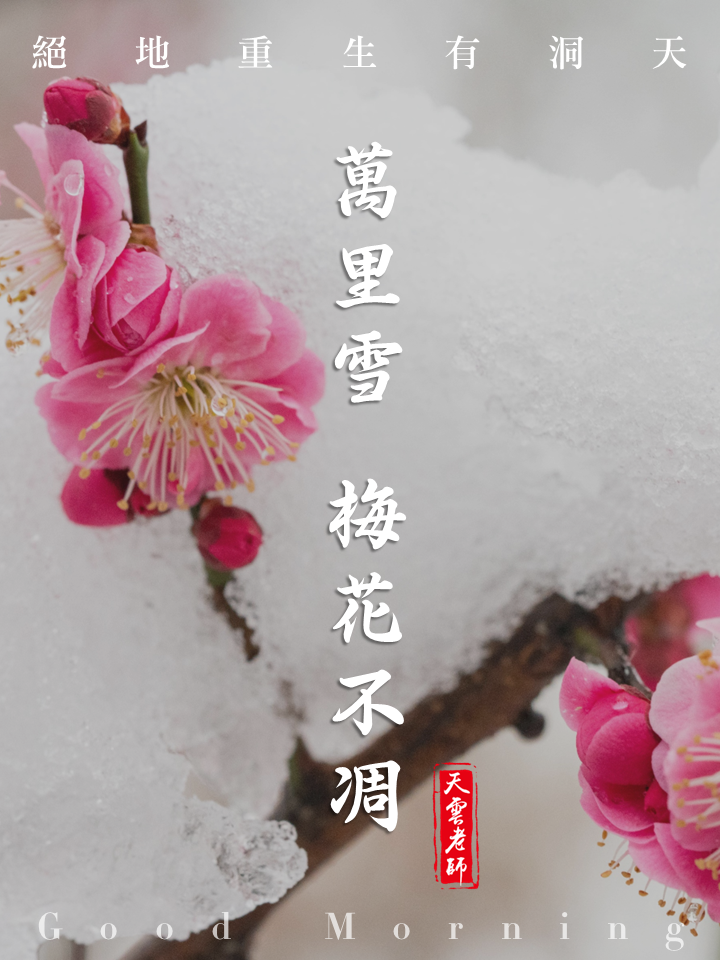 早安圖｜53.天雲大師父｜絕地重生有洞天，萬里雪梅花不凋.PNG