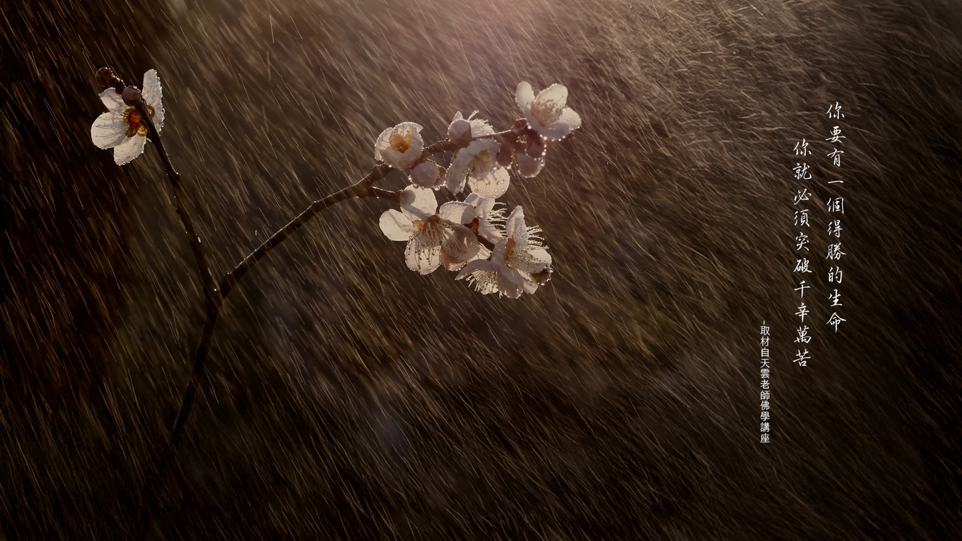 【正能量小語】桌布｜勵志金句｜你要有一個得勝的生命，你就必須突破千辛萬苦｜天界之舟行善濟世｜ (1).png