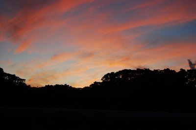 ap_F23_20091124113544419.jpg