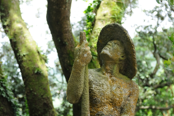 DSC_3743 DSC_3743