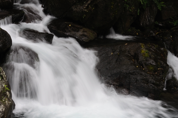 DSC_4504 DSC_4504