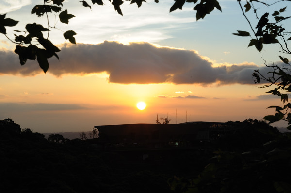 DSC_6186 DSC_6186