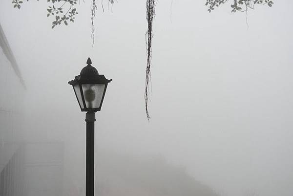 DSC_4171 DSC_4171