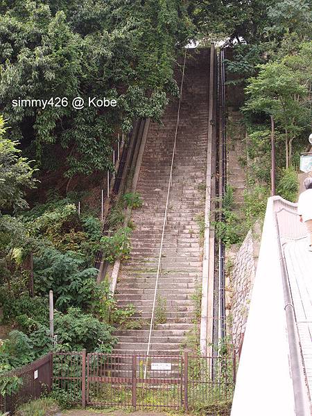 前往布引山的步道.jpg 前往布引山的步道.jpg