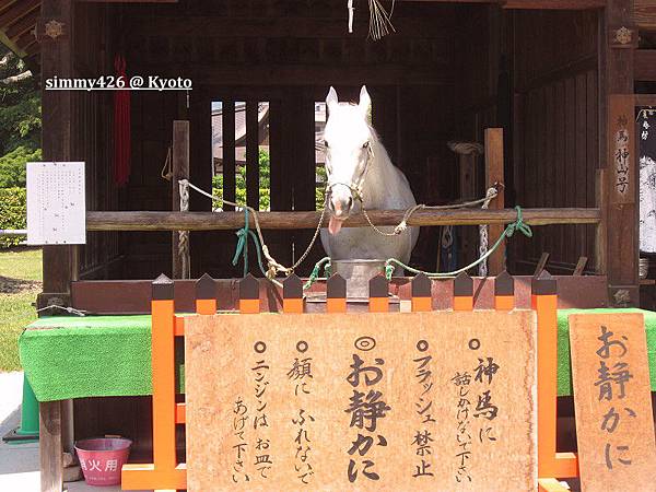 上賀茂神社(5).jpg 上賀茂神社(5).jpg