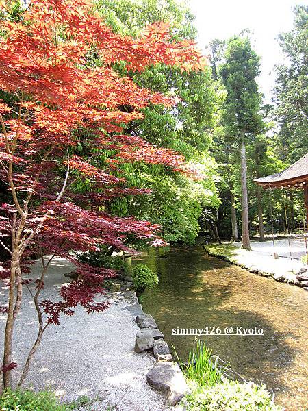 上賀茂神社(12).jpg 上賀茂神社(12).jpg