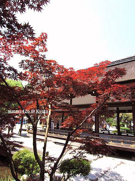 上賀茂神社(10).jpg 上賀茂神社(10).jpg