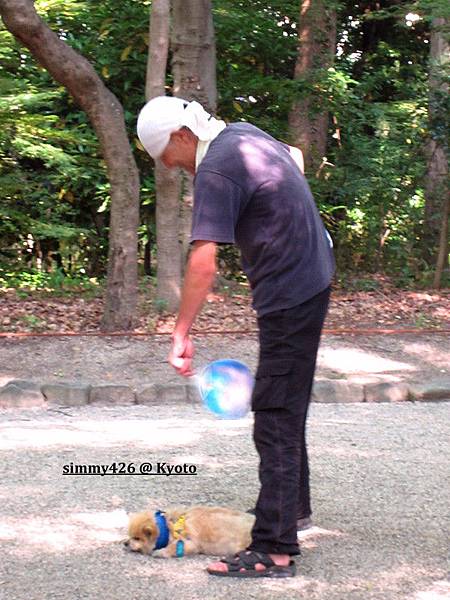 下鴨神社(29).jpg 下鴨神社(29).jpg