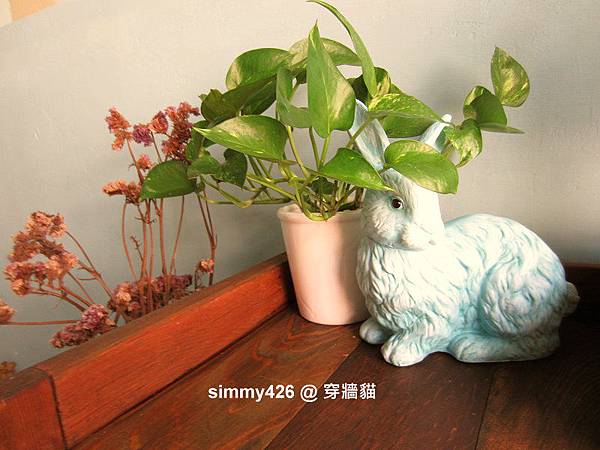 穿牆貓(11).jpg 穿牆貓(11).jpg