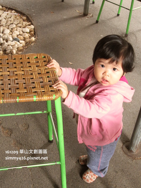 羊仔(3).jpg
