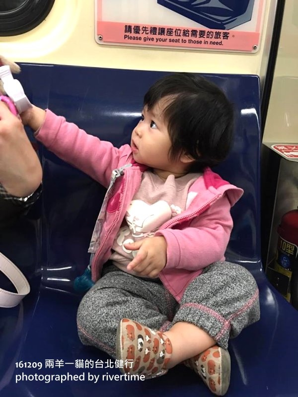 羊仔(5).jpg