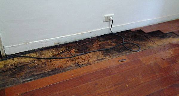 實木地板因浴室漏水膨脹-木質地板維修專線:0926199826