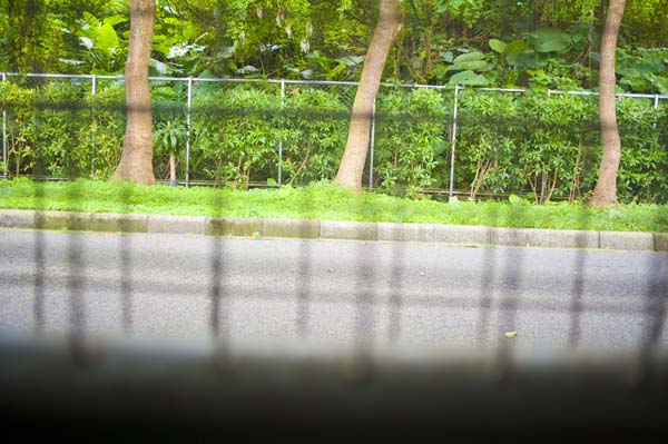 DSC_6603 拷貝.jpg