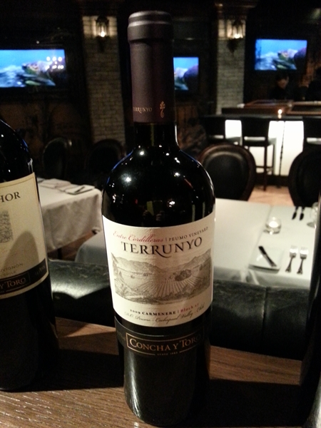 2009 Terrunyo Carmenere