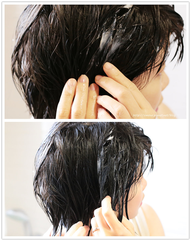 IMG_4841_副本.jpg IMG_4841_副本.jpg