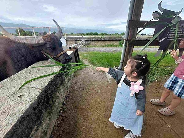 真心推薦｜宜蘭必去親子景點——牛頭司