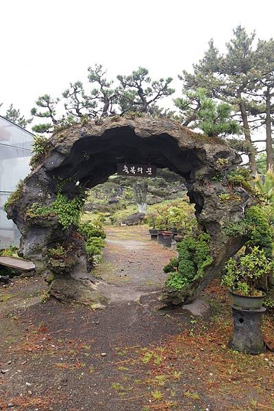 【仙蹤】韓國濟州❤違反地心引力??.體驗水向「上流」的神秘力