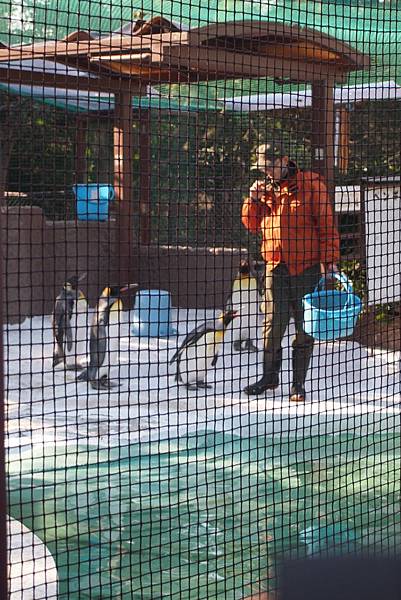 【仙蹤】大阪．新世界、天王寺（下）來「老大阪」之親親動物 —