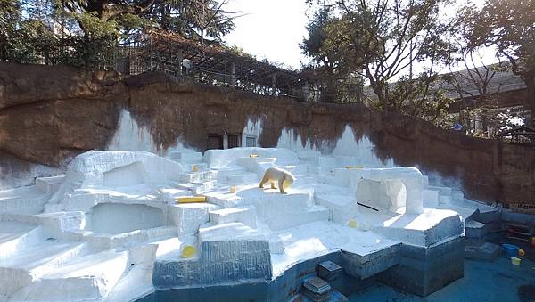 【仙蹤】大阪．新世界、天王寺（下）來「老大阪」之親親動物 —