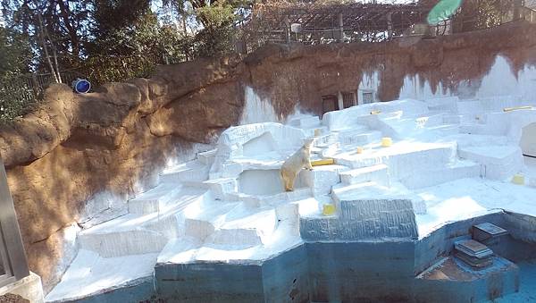 【仙蹤】大阪.新世界、天王寺(下)來「老大阪」之親親動物 —