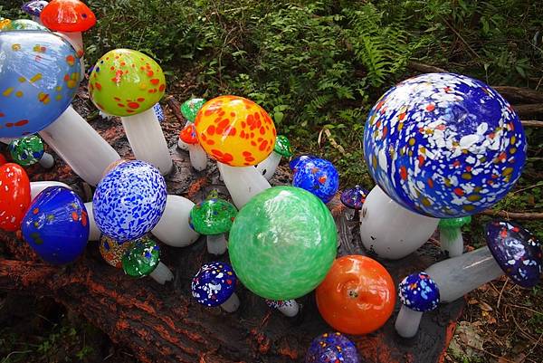 【仙蹤】濟州❤一起到訪的夢幻國度.堅固的琉璃堡壘 ——「琉璃