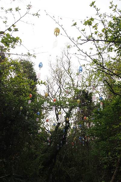 【仙蹤】濟州❤一起到訪的夢幻國度.堅固的琉璃堡壘 ——「琉璃