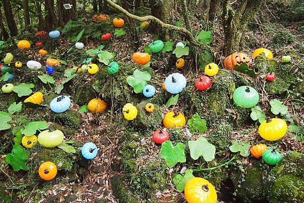 【仙蹤】濟州❤一起到訪的夢幻國度.堅固的琉璃堡壘 ——「琉璃