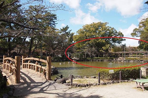 【仙蹤】名古屋❤名臣「豐臣秀吉」的紀念公園 ——「中村公園、