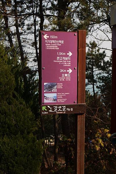 【仙蹤】釜山❤沿海散散步.吹吹風:悠閒樂活的旅行之首選 ——