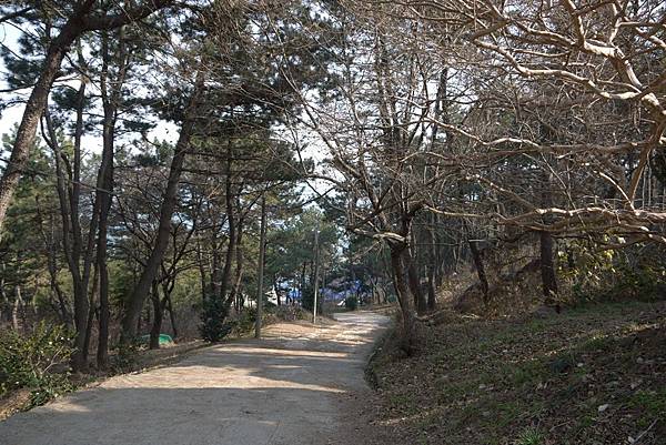 【仙蹤】釜山❤沿海散散步．吹吹風：悠閒樂活的旅行之首選 ——