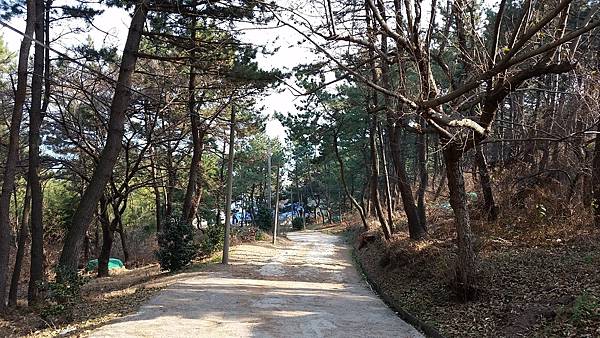 【仙蹤】釜山❤沿海散散步．吹吹風：悠閒樂活的旅行之首選 ——