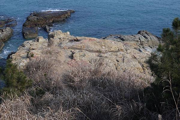 【仙蹤】釜山❤沿海散散步.吹吹風:悠閒樂活的旅行之首選 ——