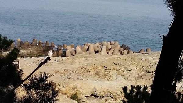 【仙蹤】釜山❤沿海散散步.吹吹風:悠閒樂活的旅行之首選 ——