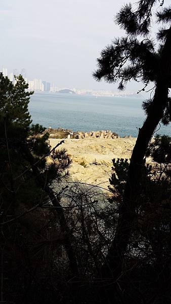 【仙蹤】釜山❤沿海散散步．吹吹風：悠閒樂活的旅行之首選 ——