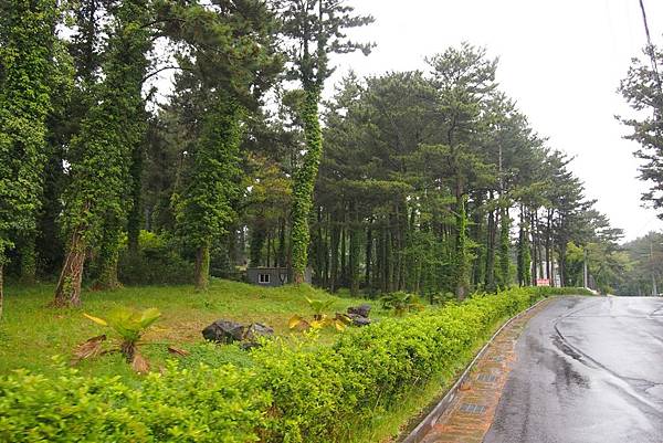 【仙蹤】首爾濟州❤冰天雪地的視覺之旅.全年保持在零下5度的室